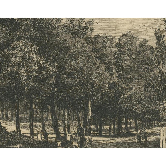 Chattock, Lane with Cattle After John Crome, 1875, Paper Etching For Sale - Image 6 of 9