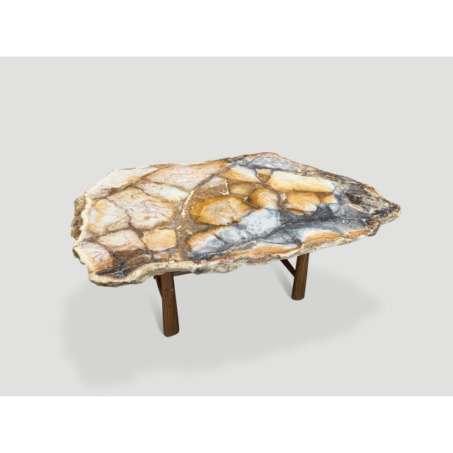 Andrianna Shamaris Beautiful Rare Petrified Wood Coffee Table For Sale - Image 18 of 18