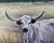 Realism "Patience" ~ Willie Britt Original Acrylic Painting~ a Picturesque Moment of a Long Horn and Her Calf For Sale - Image 3 of 13