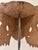 Carved Wood Figural Head With Headdress on Stand For Sale - Image 9 of 10