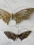 Set of two vintage mid century solid brass butterfly wall hangings. Butterflies wings are outstretched. Each butterfly has...