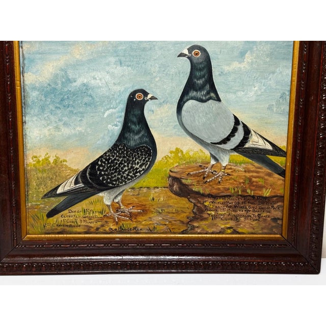 English Circa 1930 British Folk Art Champion Racing Pigeons Oil Painting For Sale - Image 3 of 18