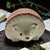 Add a touch of vintage European charm to your home decor or collection with this beautiful, mid-century porcelain hedgehog...