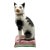 19th Century Antique Staffordshire Style Ceramic Cat on Pink Cushion Figurine For Sale