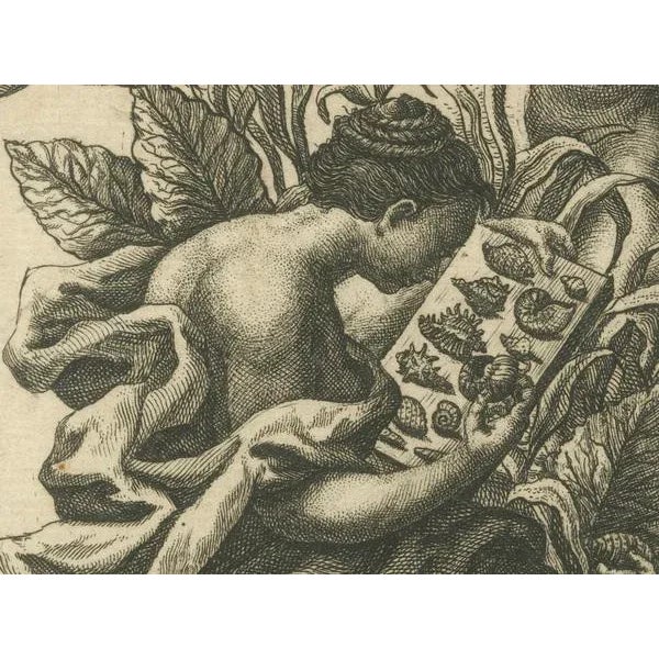 Mid 18th Century German Frontispiece of Rumphius Cabinet of Curiosities, 1765, Paper For Sale - Image 5 of 7