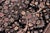 Shabby Chic Art Nouveau Pak-Persian Black/Black Wool Rug - 9'2'' X 12'4'' For Sale - Image 3 of 9