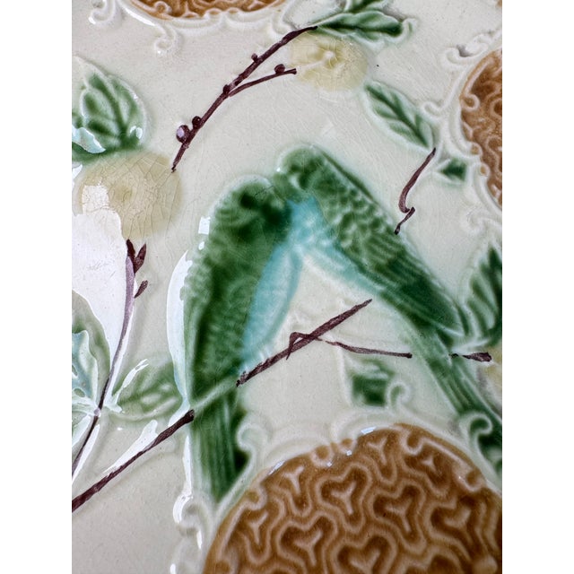 A Salins majolica plate adorned wuth two green parakeets or love birds in a lemon tree. A pleasing color palette to...