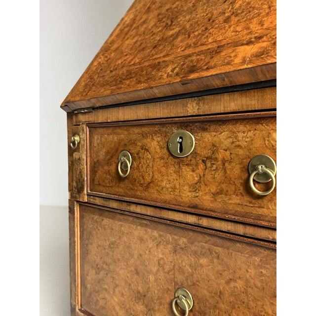 Bookcase in Burr Walnut For Sale - Image 14 of 18