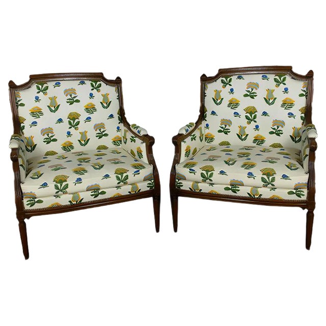 Set of Armchairs, 19th-Century For Sale