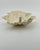1990s Vintage Ceramic Grape Leaf Catchall For Sale - Image 5 of 8