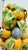 Majolica Fruit Topiary Portugal For Sale - Image 9 of 11