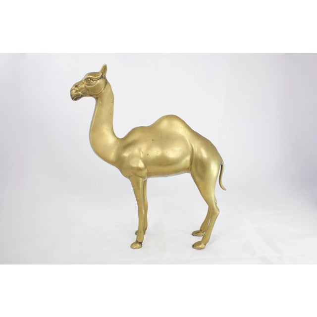 Mid 20th Century Mid-Century Large Brass Camel For Sale - Image 5 of 5