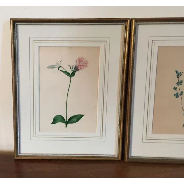 Group of three antique 19th century botanical watercolor studies framed under glass in French mats. Each measures 10 1/4"...