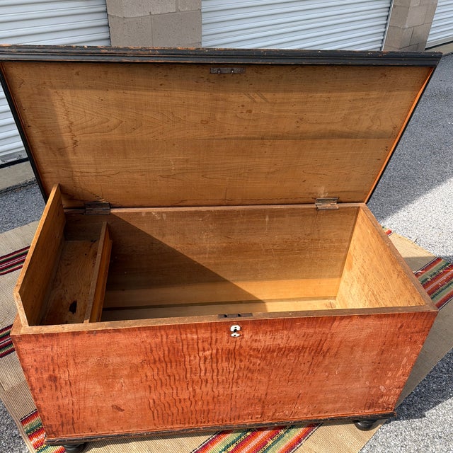 Orange Antique Manheim, Lancaster County, Pennsylvania Paint Decorated Blanket Chest, Circa 1860’s For Sale - Image 8 of 12