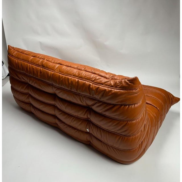 Animal Skin Togo Leather 3-Seaters Sofa attributed to Michel Ducaroy for Ligne Roset, 1992 For Sale - Image 7 of 13