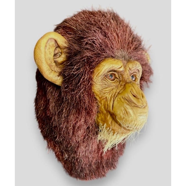 Anne Andersson, Monkey Head Natural Sisal Fiber Clay Sculpture Chimpanzee Anne Andersson Art, 2009 For Sale - Image 4 of 10