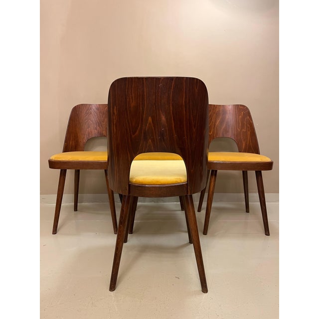 Mid-Century Modern Dining Chairs by Oswald Haerdtl for Ton, 1950s, Set of 4 For Sale - Image 3 of 8