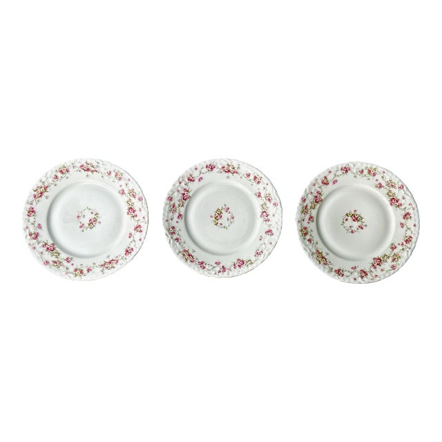 Antique Haviland Limoges Plates, Set of 3 For Sale