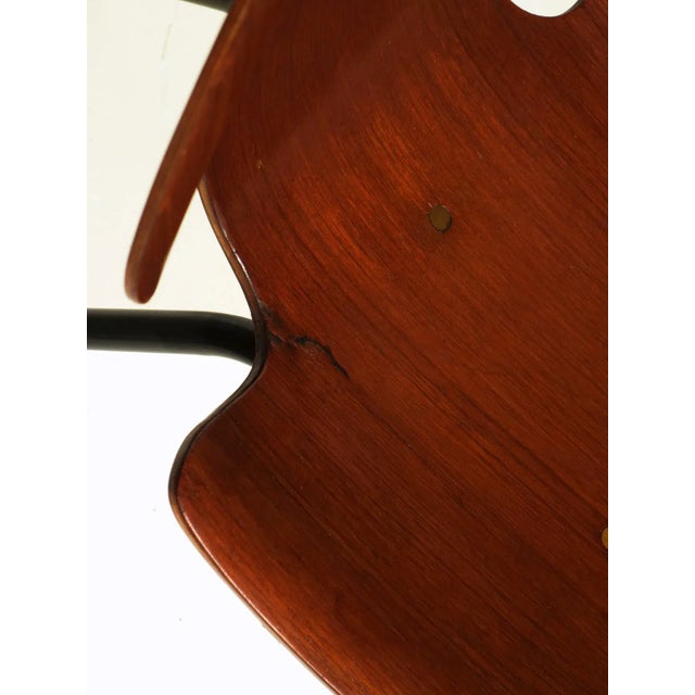 Italian Plywood Dining Chair by Carlo Ratti for Compensati Curvati, 1950s For Sale - Image 6 of 7