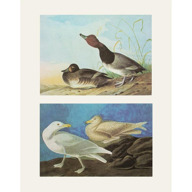 A stunning vintage Cottage, Nautical, Traditional, Rustic, Farmhouse or American Classical Style reproduction of the...