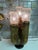 Plaster cactus lamp in antique gold leaf by Fuggiti Studio Requires candelabra base up to 40watt bulbs.