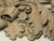 Antique French Architectural Carved Wood Fragment For Sale - Image 14 of 17