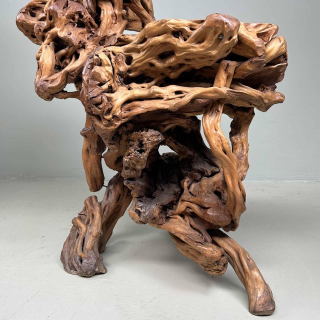Large Japanese Burl Root Wood Plant Stand, 1920s For Sale - Image 17 of 18