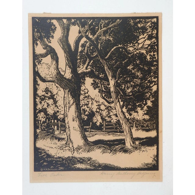 Rustic Vintage Harry Anthony DeYoung Live Oaks Block Print For Sale - Image 3 of 4