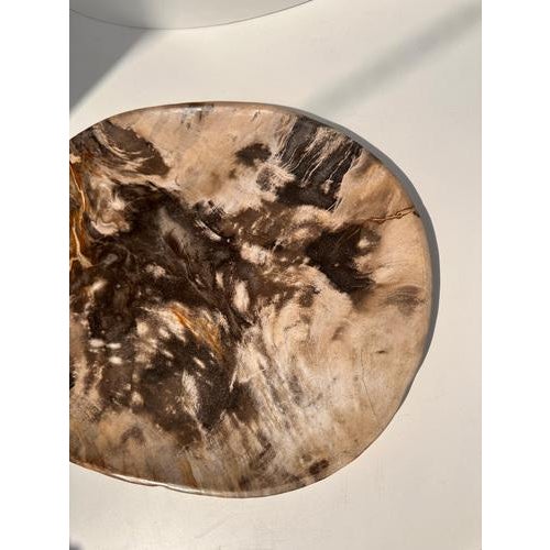 Very Large Vide-Poche or Dish in Petrified Wood For Sale - Image 16 of 18