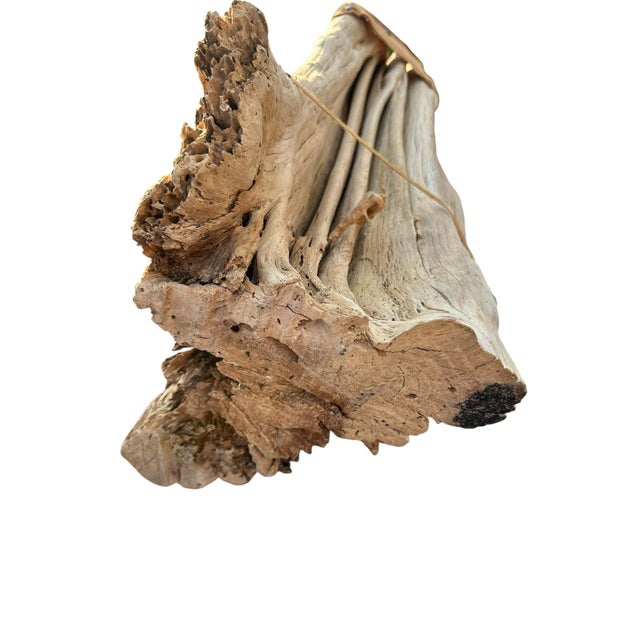 Mid Century Rustic Saguaro Cactus Table Lamp & Hand Crafted Shade For Sale In Las Vegas - Image 6 of 11