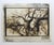 Late 20th century sepia tone cyanotype tree branches photograph on heavy paper by Eric C. Weller (20th century) Texas....
