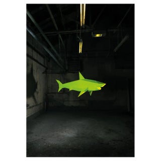 Liam Hopkins, Industry Shark 01, Photographic Print For Sale