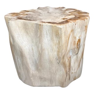 Andrianna Shamaris Impressive High Quality Ancient Petrified Wood Side Table For Sale