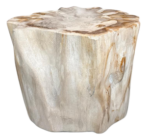 Andrianna Shamaris Impressive High Quality Ancient Petrified Wood Side Table