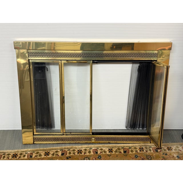 Jenson Distribution Traditional Fireplace Doors For Sale - Image 4 of 12