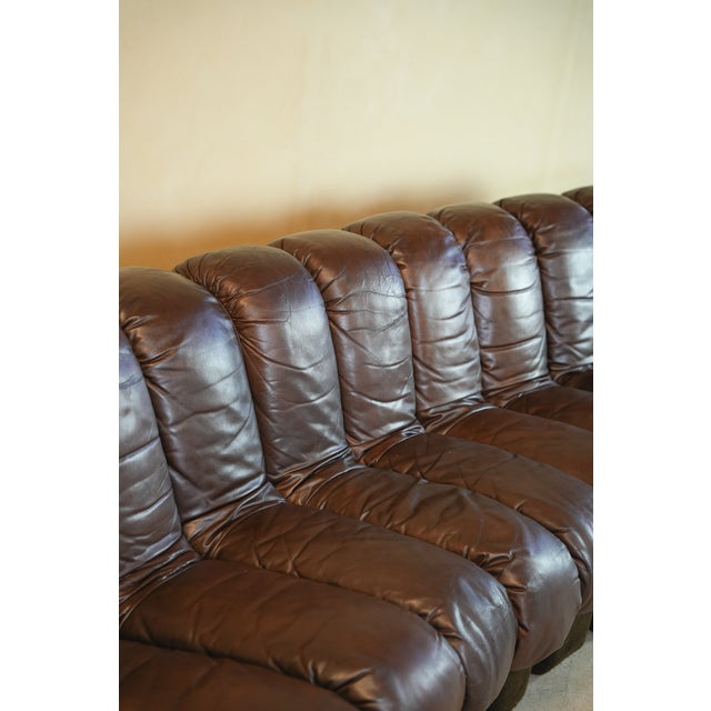 DS600 Non-Stop Snake Sofa in Brown Leather by Ueli Berger for de Sede, 1970s, Set of 16 For Sale - Image 7 of 18
