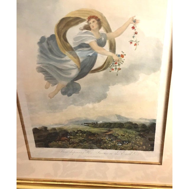 Classical Roman Framed Print Robert John Thornton Flora Dispensing Her Favors From the Temple of Flora 1807 For Sale - Image 3 of 12