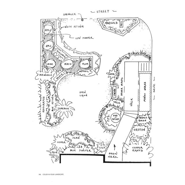 "Landscaping in Florida: A Photo Idea Book" 1989 Perry, Mac For Sale - Image 11 of 12