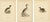 Antique Horned Grebe Bird Lithographs, Podiceps Auritus, 1929, Set of 3 For Sale - Image 10 of 10