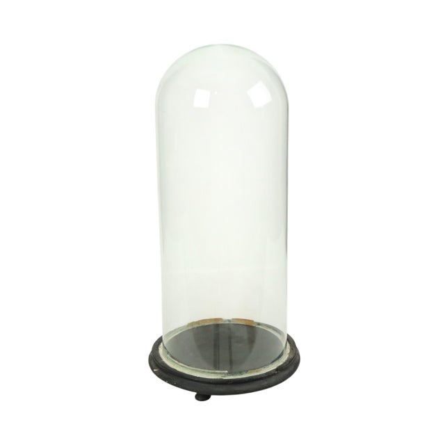 Wood Antique Mouth-Blown Glass Dome Globe, 1890s For Sale - Image 7 of 12