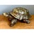 Gold Vintage Gold Painted Wood Turtle Figure For Sale - Image 8 of 12