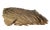 Inspired by the beauty of natural wood formation, this organic natural wood table top sculpture or wall sculpture is...
