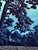 "Umagome no tsuki (Moon at Umagome) from the series Tokyo Nijukkei (20 Views of Tokyo), is inarguably one of the most...