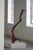 A beautiful mid-century abstract wooden sculpture, hand-carved into a bird organic form. Made by a French cabinetmaker in...