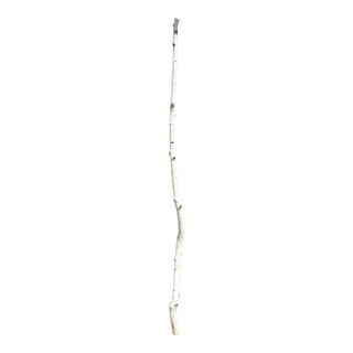 Birchwood Branch Piece for Decoration, Style H For Sale
