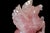 Gemstone Natural Rose Quartz Pegasus Flying Horse Pink Gemstone For Sale - Image 7 of 13
