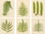 E.J. Lowe, Botanical Fern, 1856, Lithograph, Set of 6 For Sale