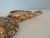 Gold Leaf Terracotta Turtle Candle From Mexico For Sale - Image 4 of 8