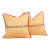 Pair of Gold Zardozi Pillows For Sale