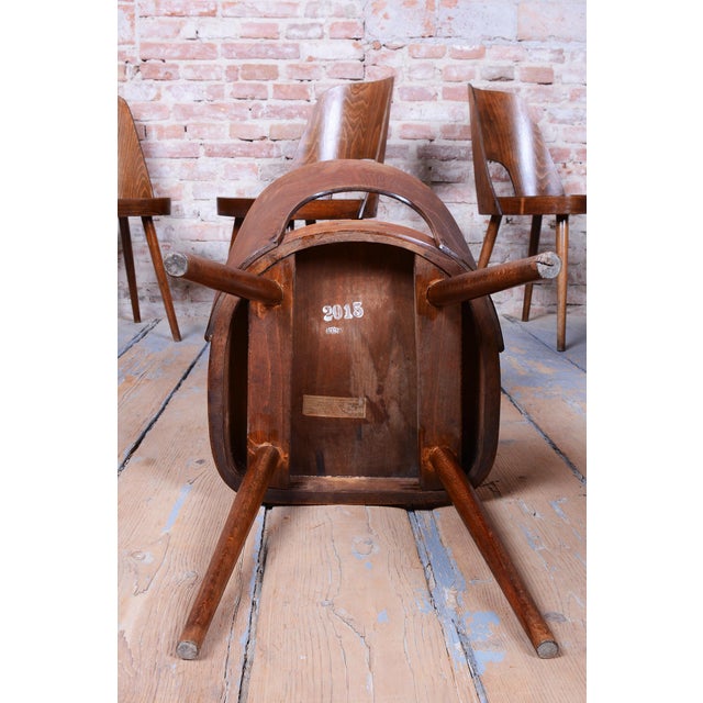 Mid-Century Chairs in Beech by Oswald Heardtl, Czech, 1950s, Set of 6 For Sale - Image 6 of 13